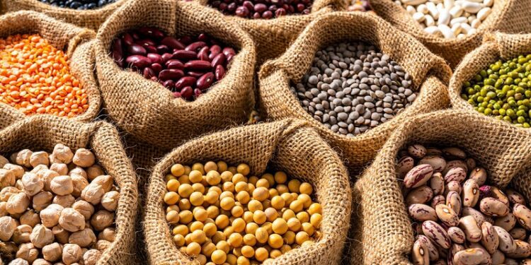 Solo una onza más al día: el sorprendente efecto asociado al consumo de legumbres