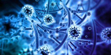 Descubren más de 10.000 nuevos virus en una zona del Pacífico