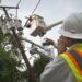 EE.UU. declara una emergencia para la red eléctrica en 13 estados y Washington D.C.