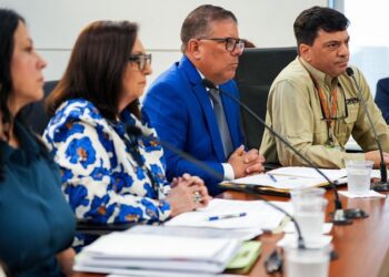 Entregan evidencia de que funcionario del DRNA indujo a error al senadores sobre el vertedero de Carolina
